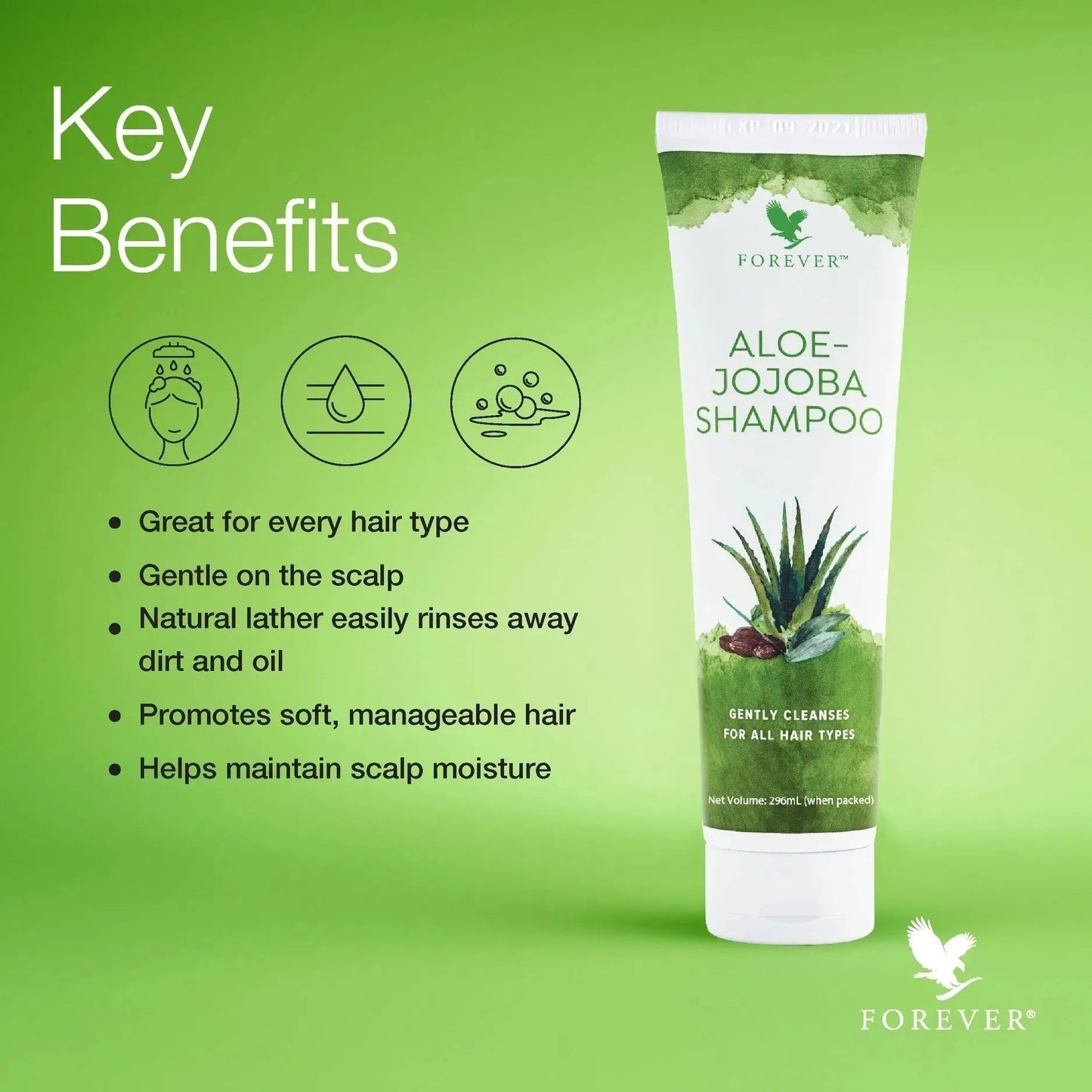 Shampoing Aloe-Jojoba